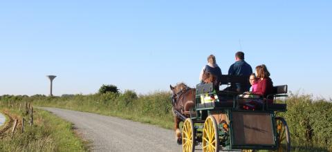 sur le chemin de l'étang des landes